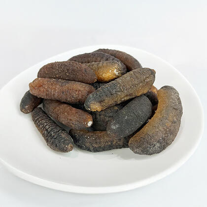 Sea Cucumber